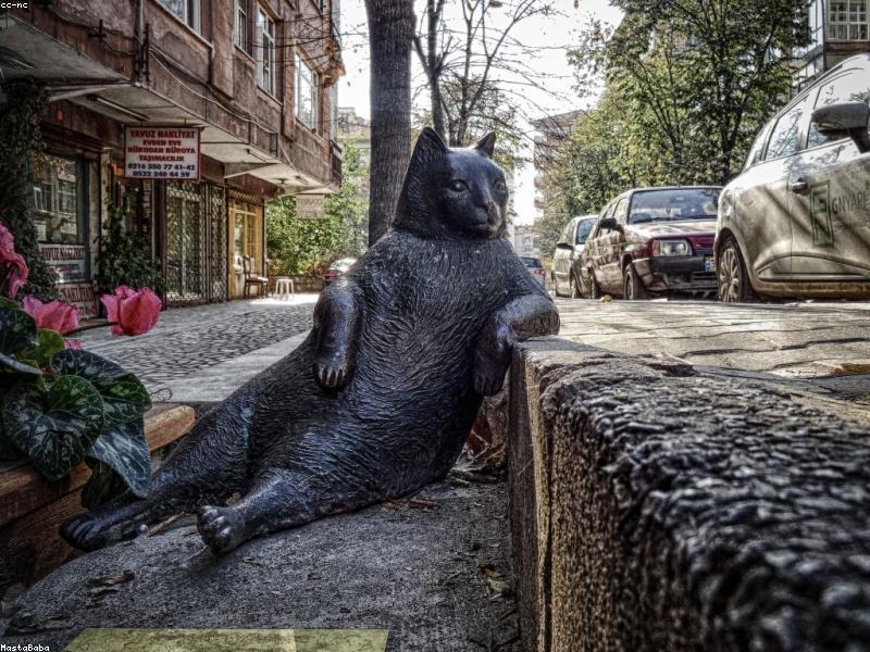 Halı ve döşeme temizliği
